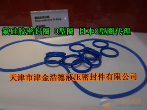 氟硅膠o型圈天津現(xiàn)貨,fvmq氟硅膠o型圈藍色氟膠密封圈批發(fā)